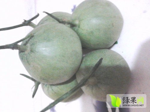 2014年山东莘县绿宝价格