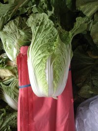 沂南县房庄子蔬菜市场供应白菜