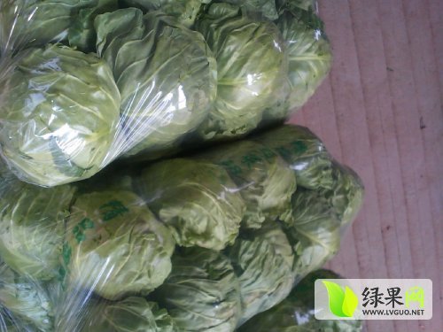 中甘21甘蓝价格