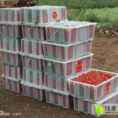 广东东莞长源果品贸易行