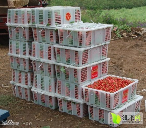 2014年广东东莞红灯价格
