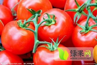 2014年河北乐亭粉百利价格