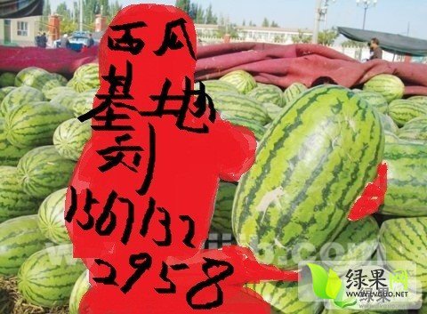 2014年湖北宜城京欣价格