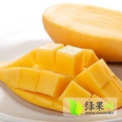 海南美兰台农一号：海甸五蒋海艳