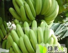 海南美兰巴西香蕉：海甸五蒋海艳