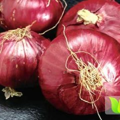 四川大邑红皮洋葱：安仁镇李先生