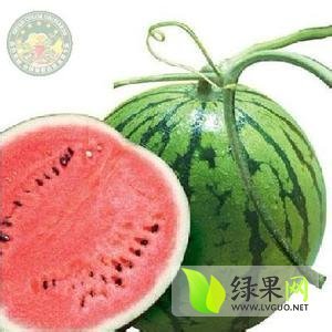 2014年安徽太和麒麟西瓜价格