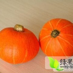 辽宁凌海金红冠南瓜：右卫镇永盛