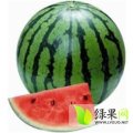 莘县西瓜，每年五一左右开始大量上市
