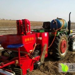 内蒙古科尔沁中旗富金053土豆：