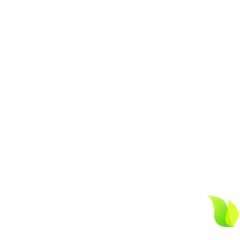 山东安丘红灯：王家庄黄风堂