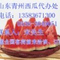 家乡西瓜上市0.7元/斤