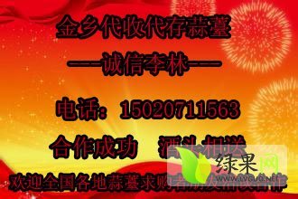 2014年山东金乡蒜薹价格