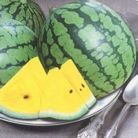 2014年江苏东台8424西瓜价格