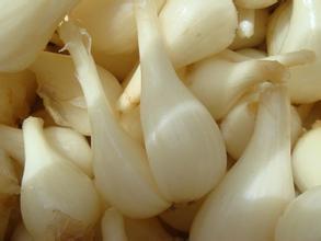 大量供应新鲜藠头