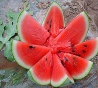 宜城王集五十万亩黑美人6月供应