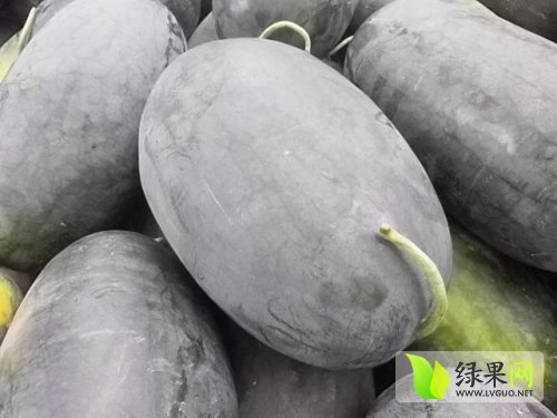 黑美人价格