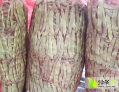 济宁市农业开童春锋：油豆3.5-4.
