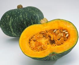 河北清苑黑皮南瓜6月开始供应