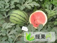 2014年山东费县京欣价格