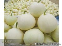 2014年山东费县早雪价格