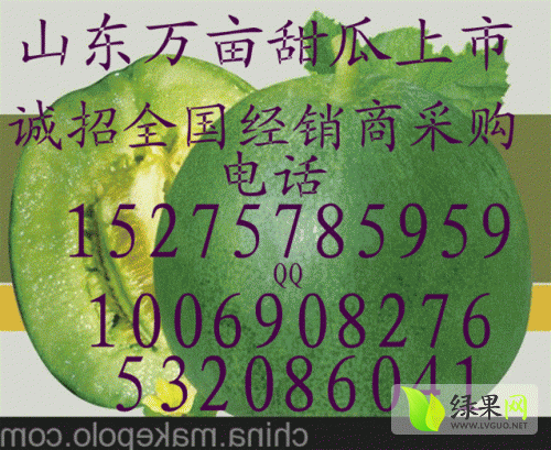 2014年山东费县白皮甜瓜价格