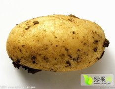 2015襄阳大量土豆：上市了有需要的联系