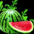 湖北钟祥5月底开始供应西瓜