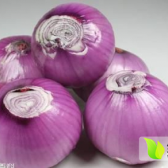 西昌红皮洋葱有得天独厚的地理和气候优势