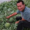 江苏睢宁京欣：江苏省王雷