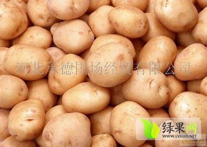 2014年山东岱岳早大白价格