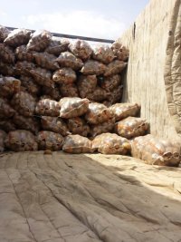 内蒙古四子王旗克新一号：四子王云峰