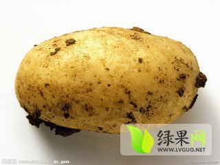 2014年山东岱岳早大白价格