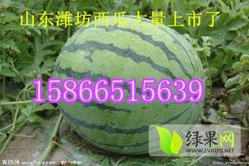 2014年山东寒亭京欣价格