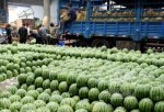 山东潍坊昌乐尧沟，红沙沟供应优