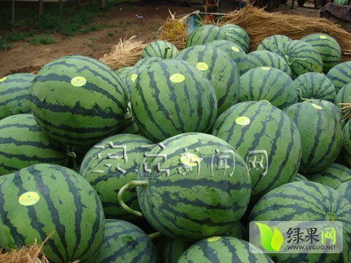 2014年山东安丘京欣价格