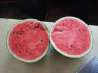 2014年山东费县京欣 价格