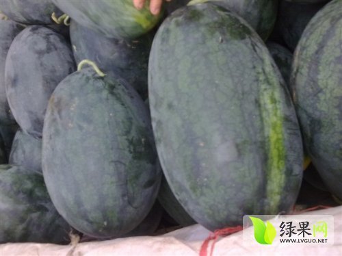 黑美人价格