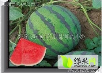 2014年山东莘县京欣价格