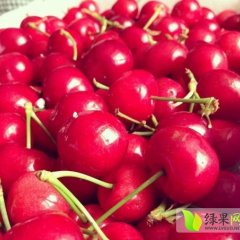 烟台大樱桃批发代购