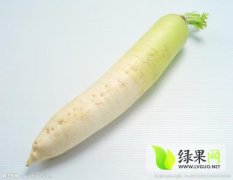 山东蔬菜批发基地4月份白皮萝卜上市