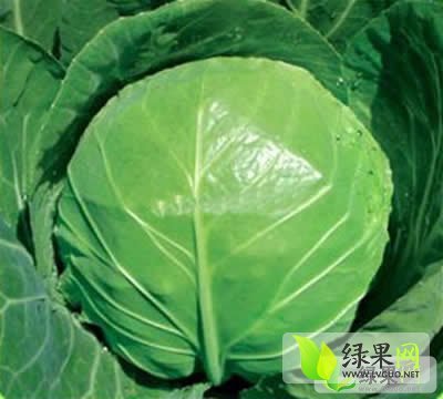 2014年江苏沛县8398甘蓝价格