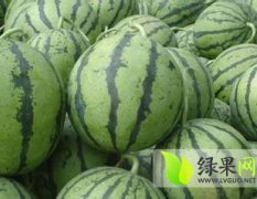 濮阳市南乐县福堪镇贾国强：《双