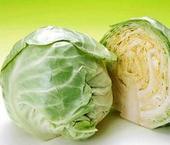 河北定州春玉甘蓝量大质优