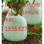 2014年山东莘县一串零价格