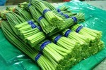 2014年河南通许蒜薹价格