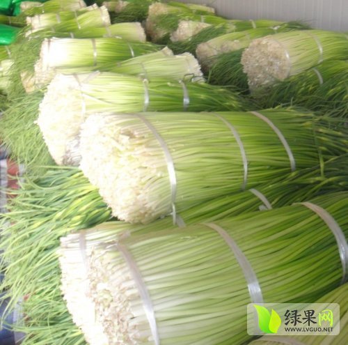 2014年河南通许蒜薹价格