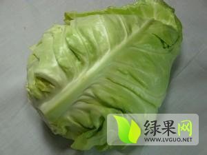 湖北嘉鱼大量供应牛心包甘蓝 价格低迷