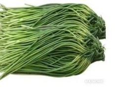 山东商河五一优质蒜薹大量上市