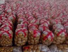 山东岱岳新土豆开始大量供应
